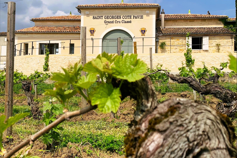Saint-Émilion: tour dei vigneti di Bordeaux e degustazione di viniSaint-Émilion: tour dei vigneti di Bordeaux e degustazione in inglese