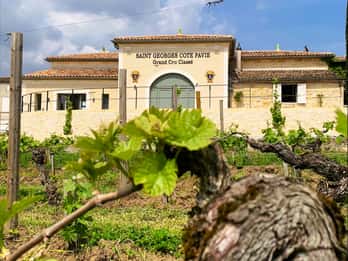 Saint-Émilion: Bordeaux Vineyard Tour and Wine Tasting