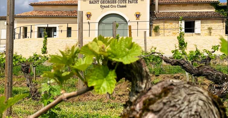 Saint-Émilion: tour dei vigneti di Bordeaux e degustazione di vini