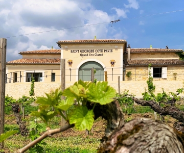 Saint-Émilion: Bordeaux-wijngaardtour en wijnproeverij