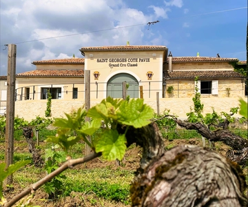 Bordeaux Vineyard Tour and Wine Tasting