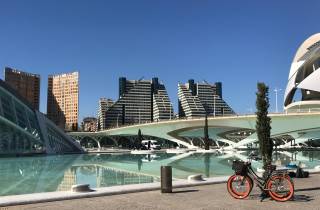 Valencia: 3-stündige große Fahrradtour & Stadt der Künste und Wissenschaften