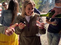 Santiago, Maipo Valley Wine Tasting Tour met 3 wijngaarden - Housity