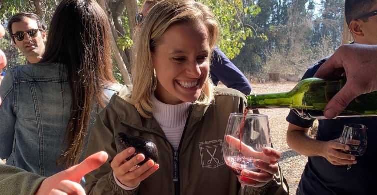 Santiago: Maipo Valley Wine Tasting Tour with 3 Vineyards