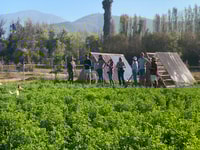 Santiago, Maipo Valley Wine Tasting Tour con 3 viñedos - Housity