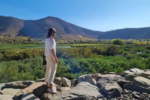 Desde Santiago: recorrido por los viñedos del valle del Maipo