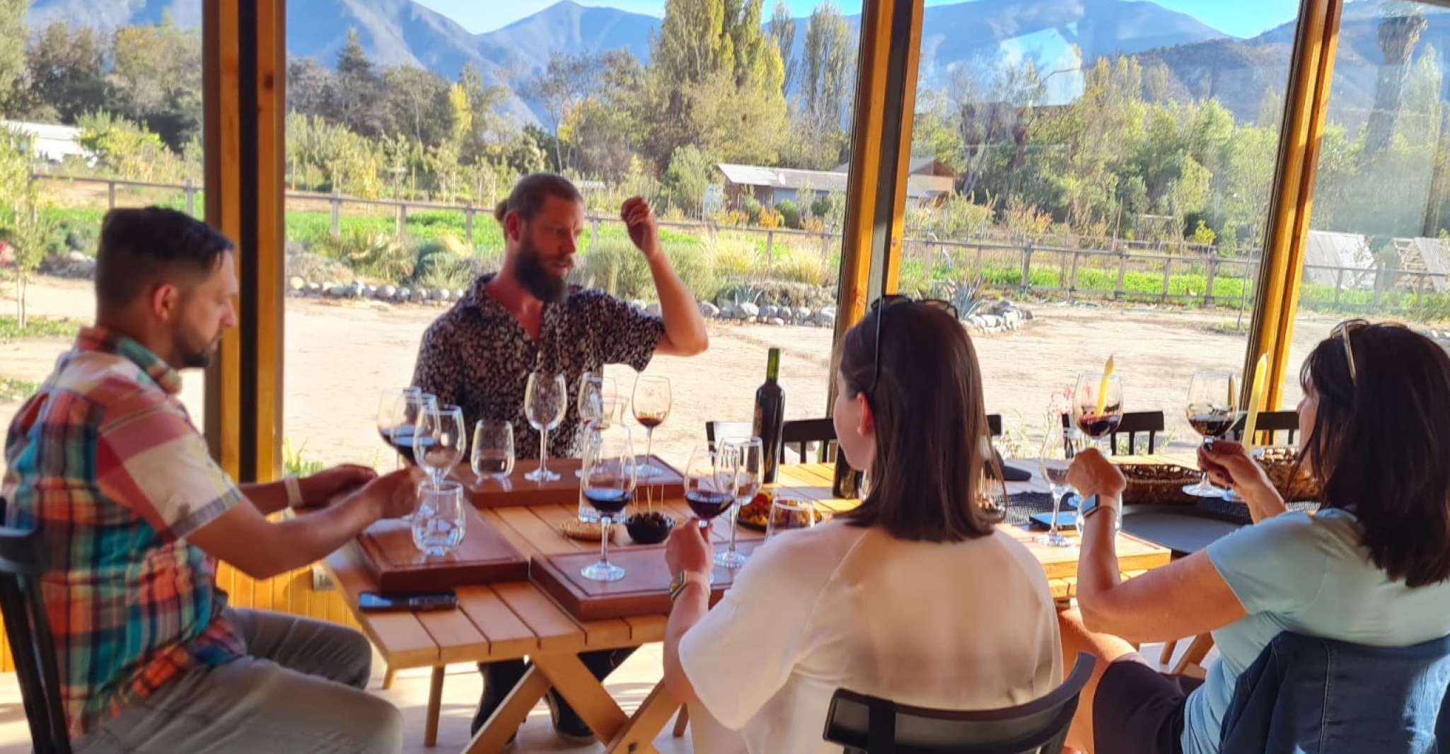 Santiago, Maipo Valley Wine Tasting Tour with 3 Vineyards - Housity