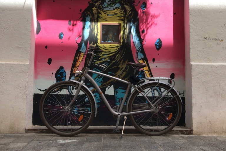 Valencia: Straßenkunst FahrradtourValenciaL Street Art Private Tour auf dem E-Scooter