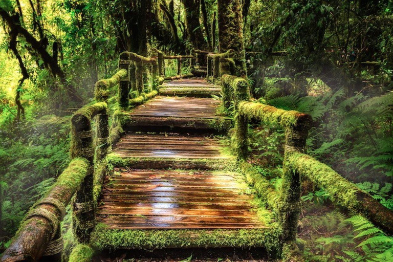 Chiang Mai: Parque Doi Inthanon, Cascadas y Excursión a las Colinas