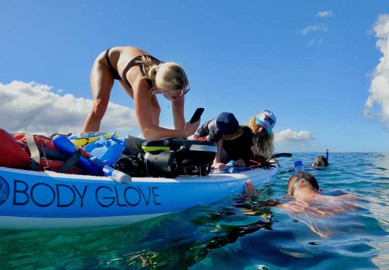 maui snorkeling tour for non swimmers