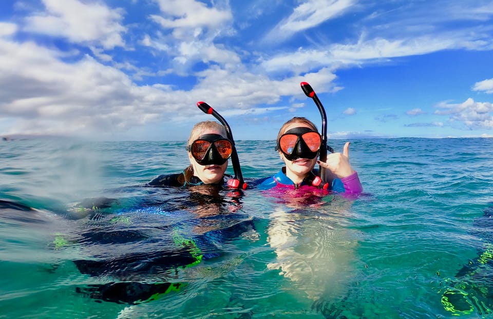 South Maui Snorkeling Tour for NonSwimmers in Wailea Beach GetYourGuide