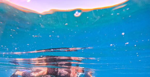 Tenerife: Snorkeling with Sea Turtles in Small Groups