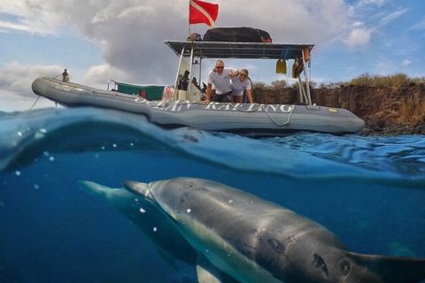 From Lahaina: Eco-Raft Snorkel and Dolphin Tour to Lanai