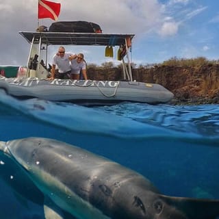 From Lahaina: Eco-Raft Snorkel and Dolphin Tour to Lanai