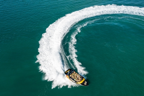 Paradise Jet Boating Aventure Broadwater de 55 minutesAventure en eaux vives