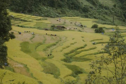 Da Ha Noi: Tour ad anello di Cao Bang di 3 giorni per visitare i villaggi locali