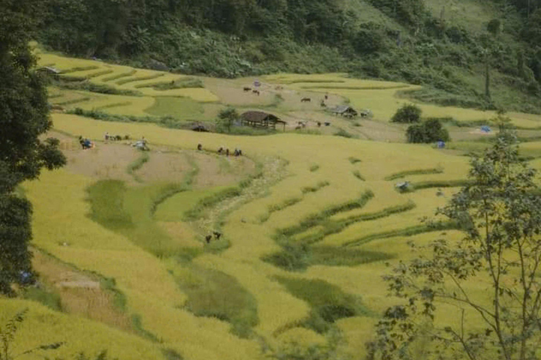 De Ha Noi: Excursão de 3 dias a Cao Bang Loop Visita uma aldeia local