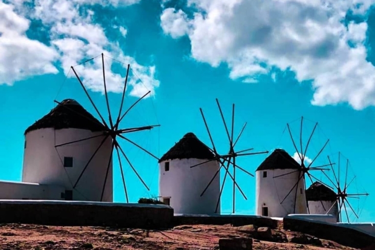 Highlights of Mykonos: Half-Day Tour Half-Day Private Tour