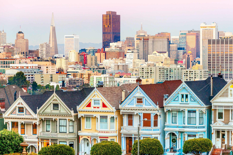 Custom Private Tour in a Luxurious Mercedes