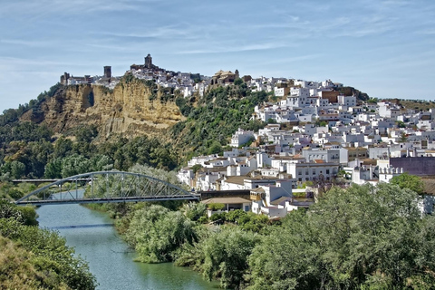 Van Cadiz: Ronda & Arcos de la Frontera privé dagtocht