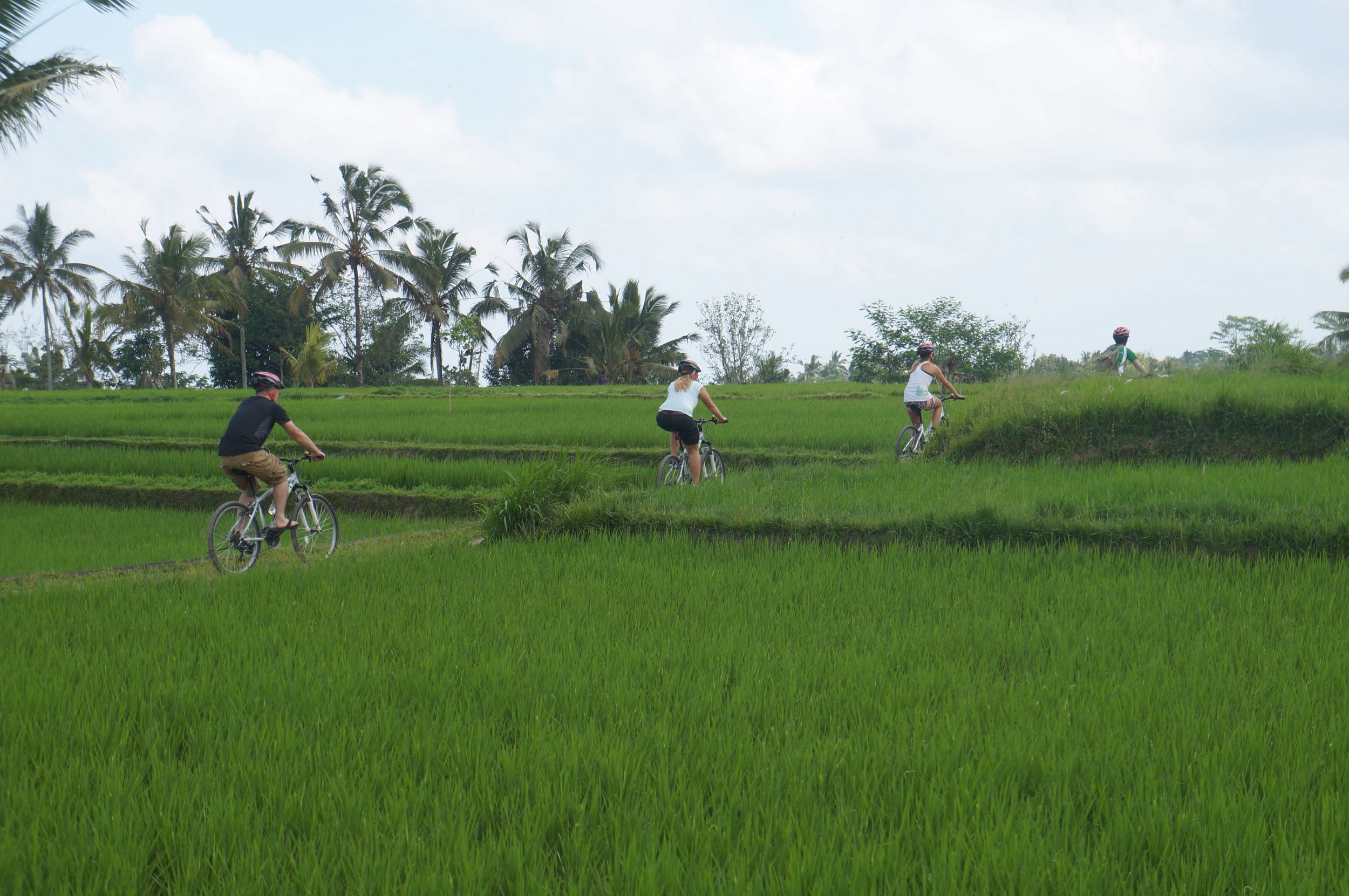 Kintamani: Kultur- und Natur-Fahrradtour mit Guide