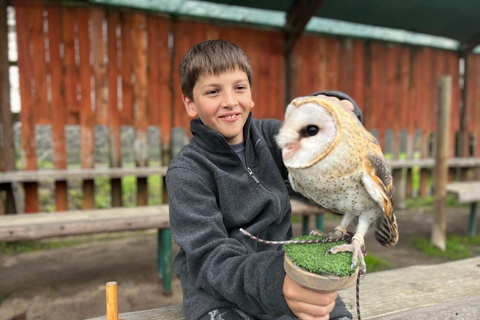 Cape Town: Stellenbosch Guided Walk with Wine Tasting