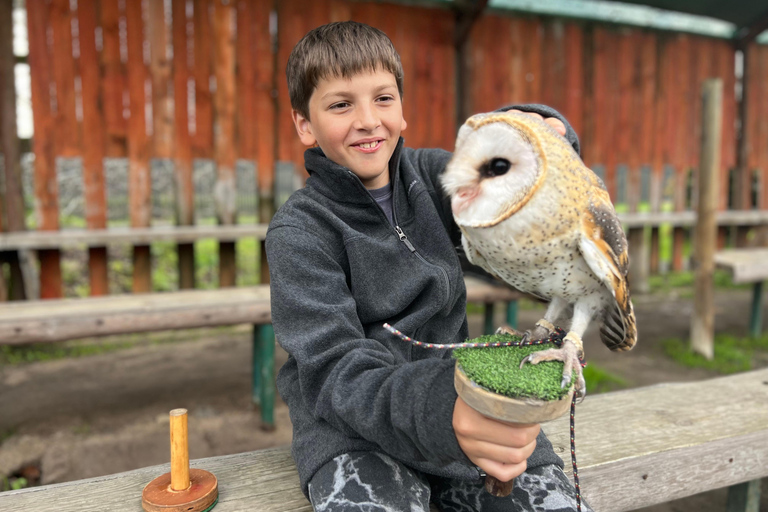 Cape Town: Stellenbosch Guided Walk with Wine Tasting