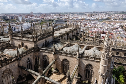 De Cadix: excursion privée d'une journée à Séville, cathédrale et Alcazar