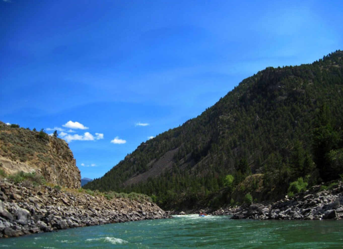 Fra Gardiner: Yellowstone River Scenic Float