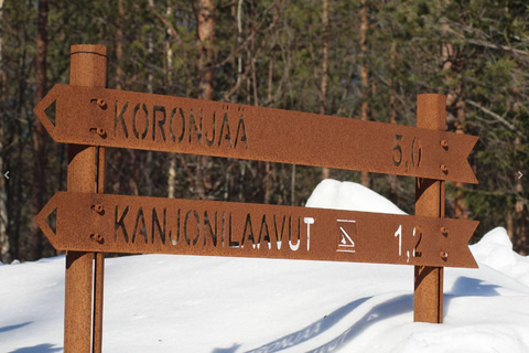 Ab Rovaniemi: Tour durch die Korouoma-Schlucht und die gefrorenen Wasserfälle