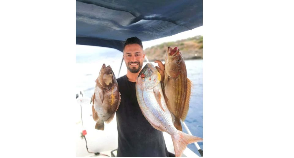 Appâts Vivants - Fish In Golfe