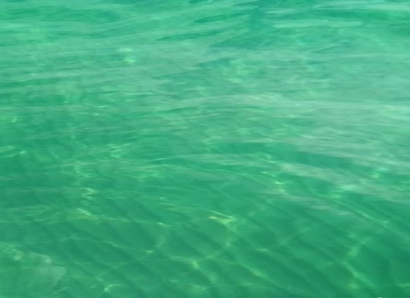 Agrigento: Turkklippernes trappe Bådtur og svømmestop