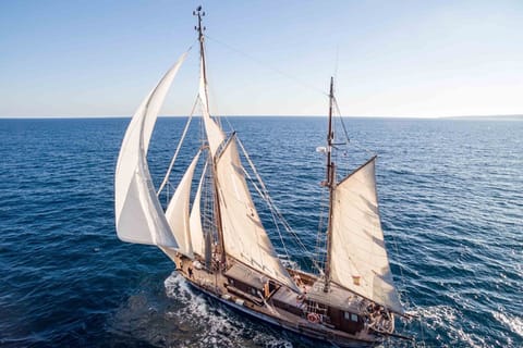 Mallorca: Segeltour mit Geschichte, Tapas und Wein in Palma