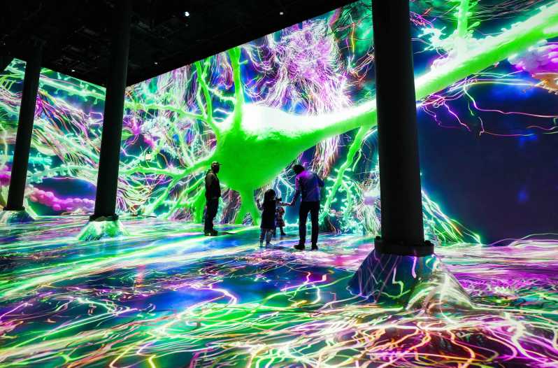 NYC ARTECHOUSE Immersive Art Experience Entrance Ticket GetYourGuide