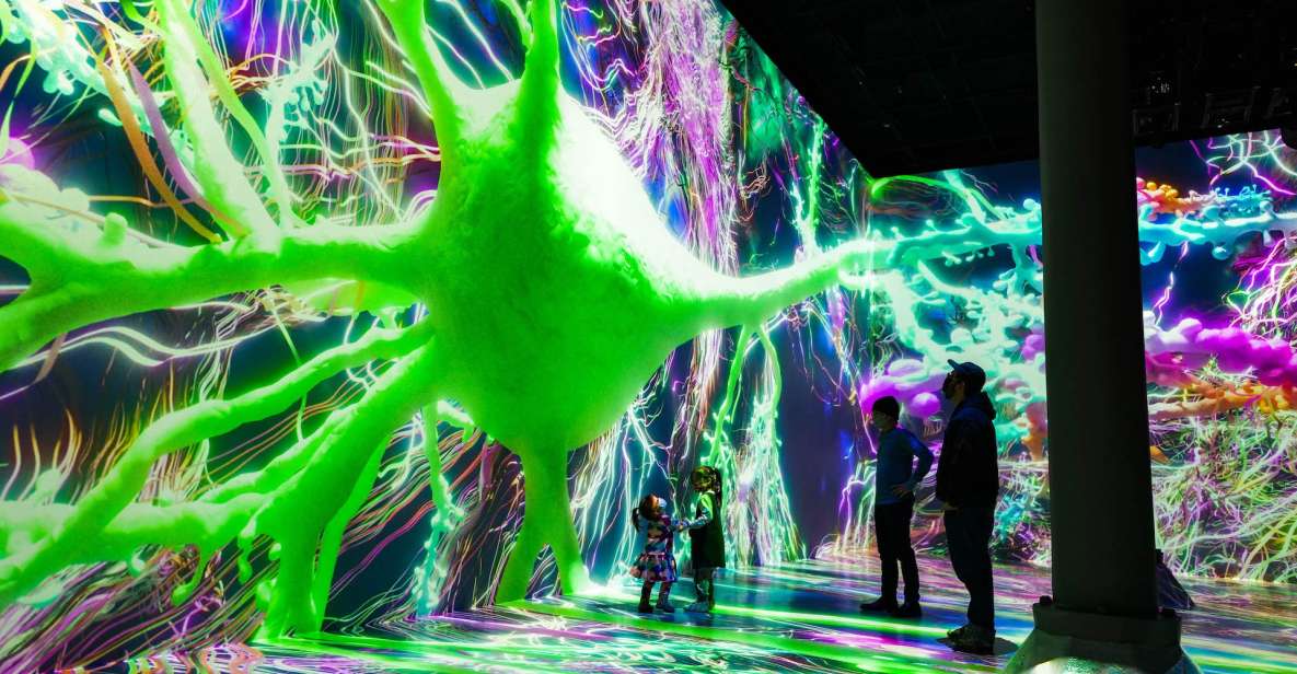 NYC: ARTECHOUSE Immersive Art Experience Entrance Ticket