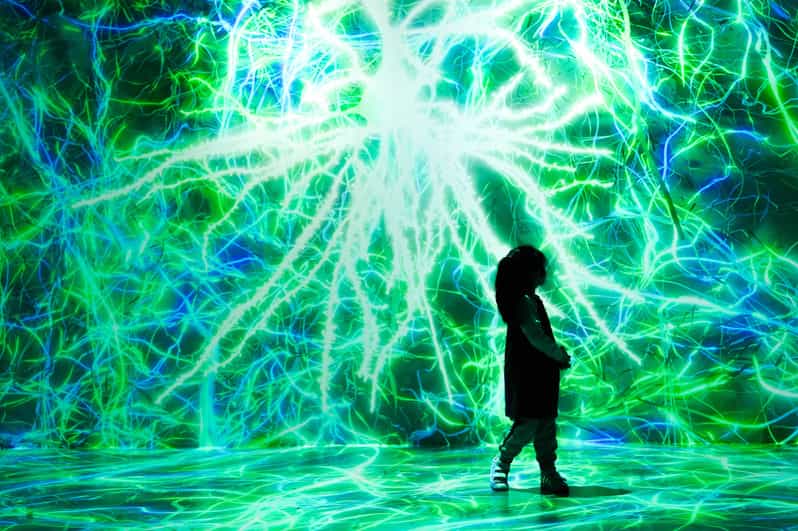 NYC ARTECHOUSE Immersive Art Experience Entrance Ticket GetYourGuide