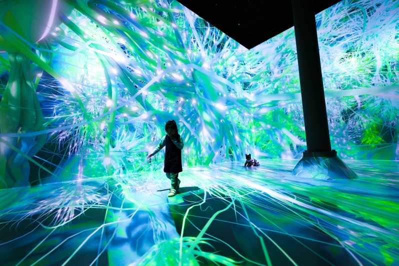 NYC ARTECHOUSE Immersive Art Experience Entrance Ticket GetYourGuide