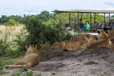 Botswana: Chobe National Park Full Day Trip