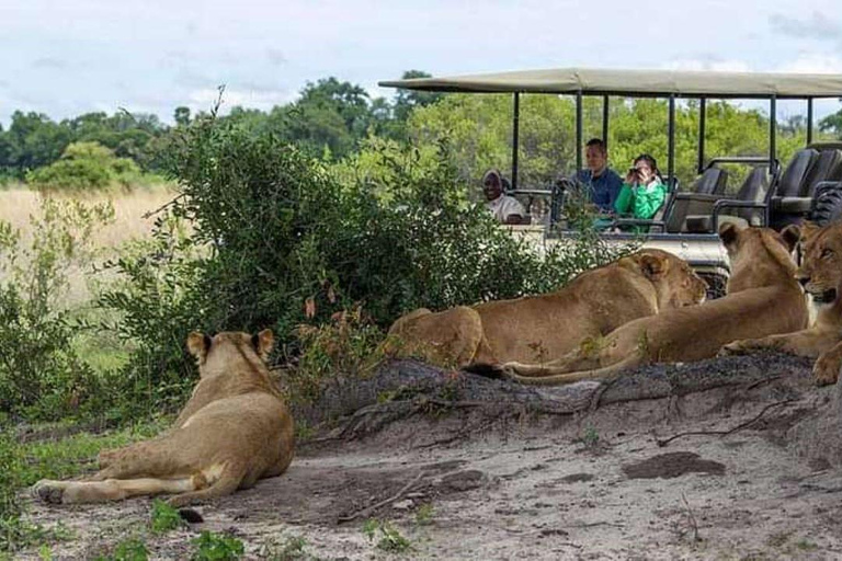 Botswana: Chobe National Park Full Day Trip