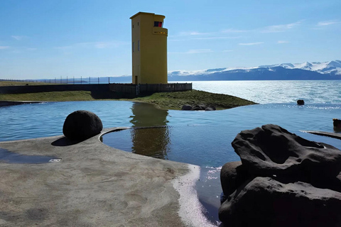 Akureyri: Lake Mývatn, GeoSea, & Whale Watching Tour