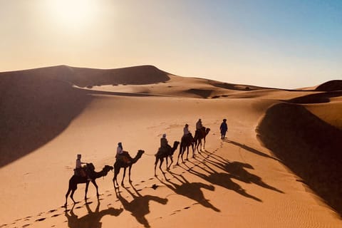 Merzouga : randonnée en chameau et nuit à l’erg Chebbi