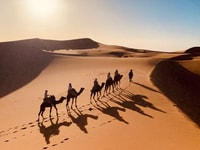 De Merzouga, camel durante la noche, Trek sobre muy chebbi dunes - Housity