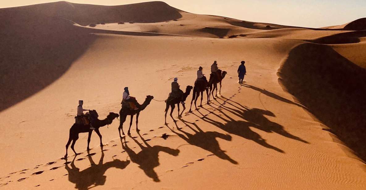 Merzouga : randonnée en chameau et nuit à l’erg Chebbi