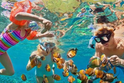 Bali: Blue Lagoon Snorkeling &amp; Waterfall Tour with LunchBlue Lagoon Snorkeling and Rafting Adventure