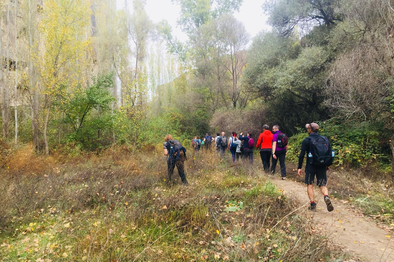 Capadocia: tour privado de día completo de iglesias sagradas