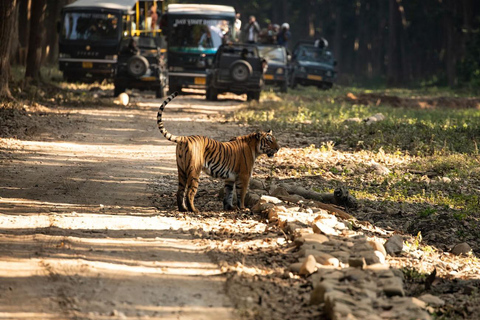 Från Jaipur: Privat rundtur med tigersafari i Ranthambore över natten