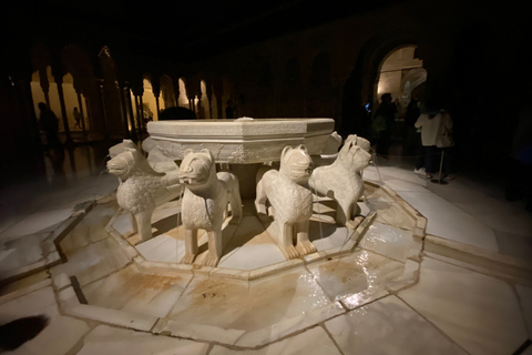 Granada: Alhambra Fast-Track Ticket and Guided Tour by Night