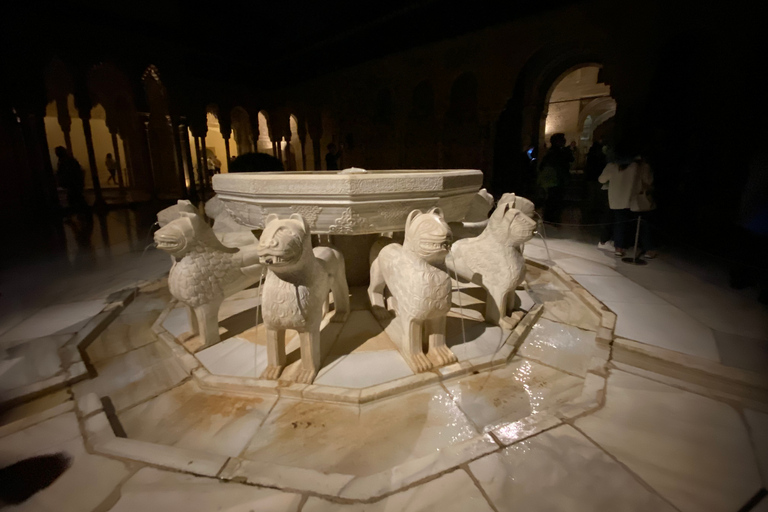 Granada: Alhambra Fast-Track Ticket and Guided Tour by Night