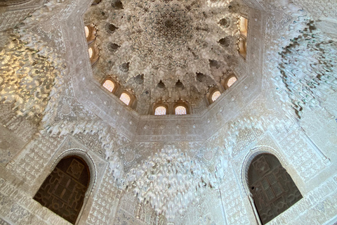 Granada: Alhambra Fast-Track Ticket and Guided Tour by Night