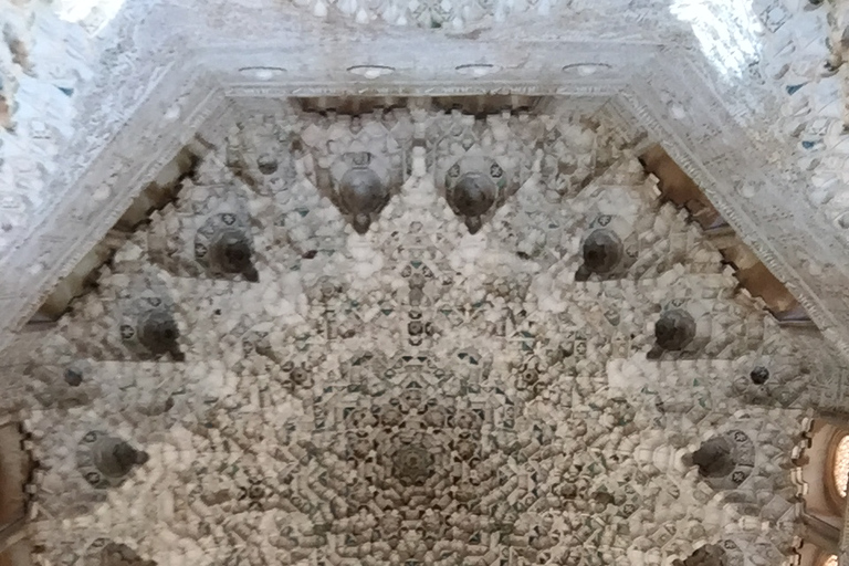 Granada: Alhambra Fast-Track Ticket and Guided Tour by Night